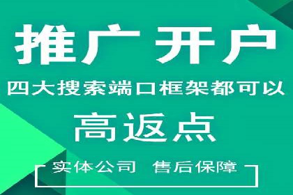 SEM广告的精准定向技巧与成功案例解析